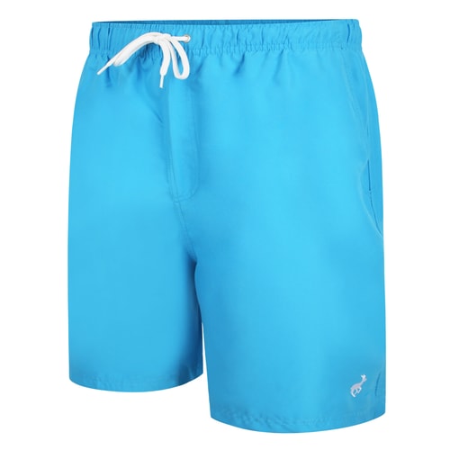Bigdude Plain Swim Shorts Turquoise